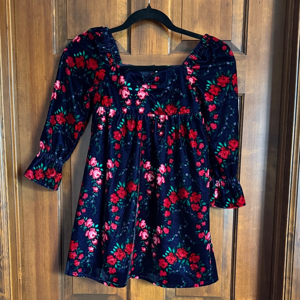 Janie and Jack Velvet Dress with Red Floral Pattern